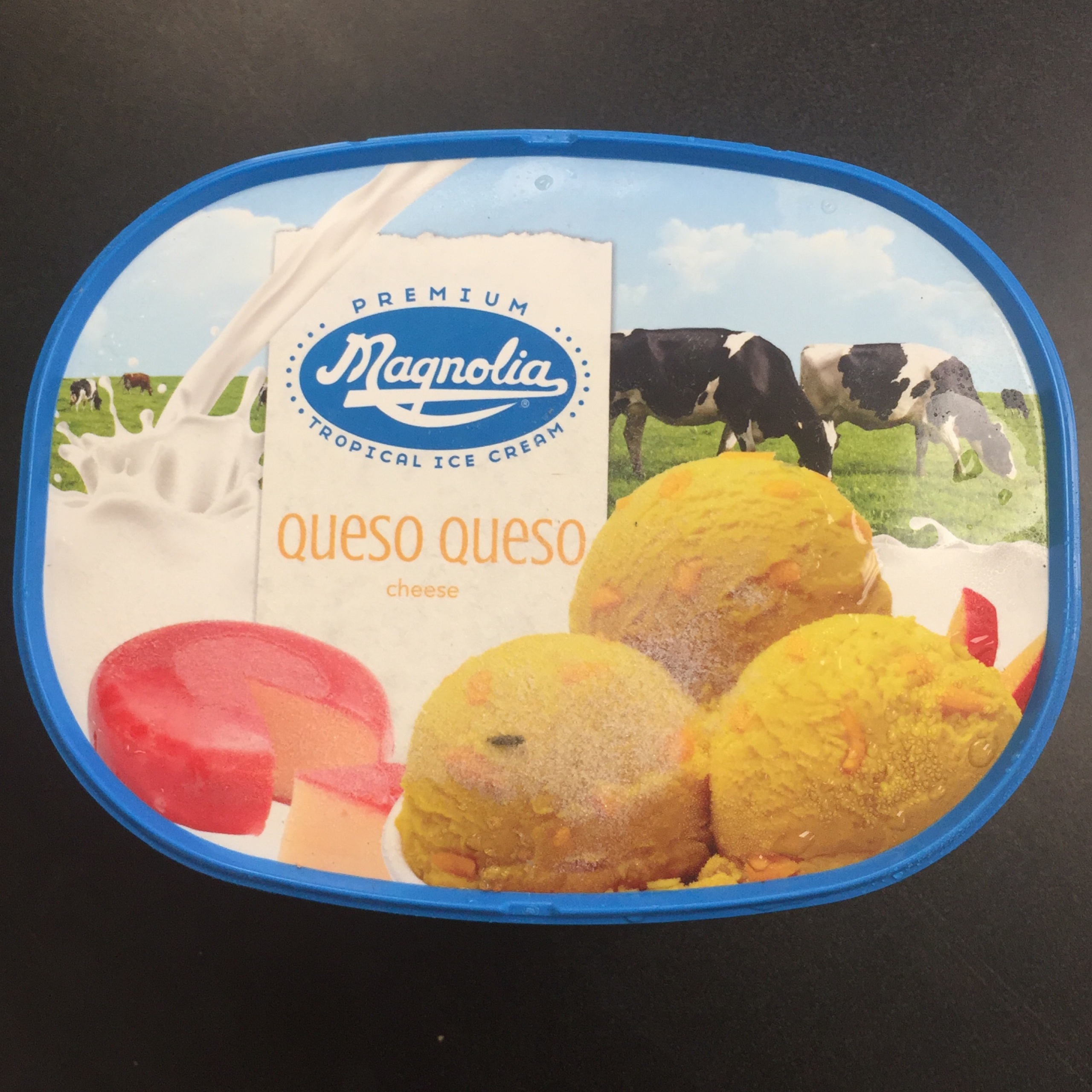 Magnolia Queso Queso Ice Cream | VMART FILIPINO STORE